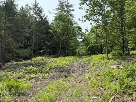 Peavine Boulevard Bethel VT 05032