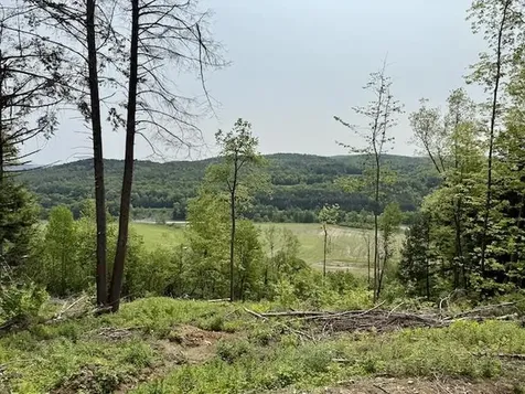 Peavine Boulevard Bethel VT 05032