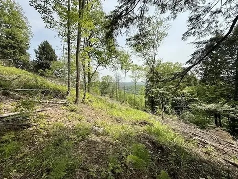 Peavine Boulevard Bethel VT 05032