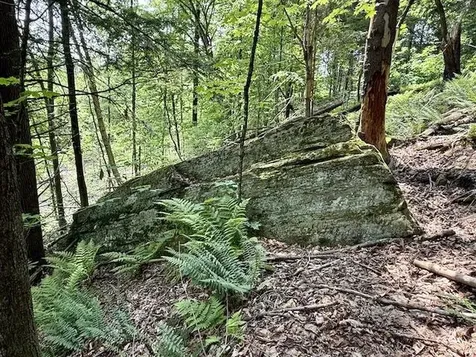 Peavine Boulevard Bethel VT 05032