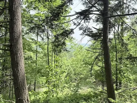 Peavine Boulevard Bethel VT 05032