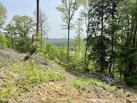 Peavine Boulevard Bethel VT 05032