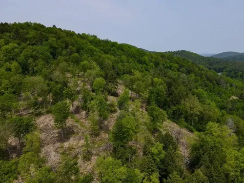 Peavine Boulevard Bethel VT 05032