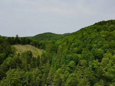 0 Peavine Boulevard Bethel VT 05032