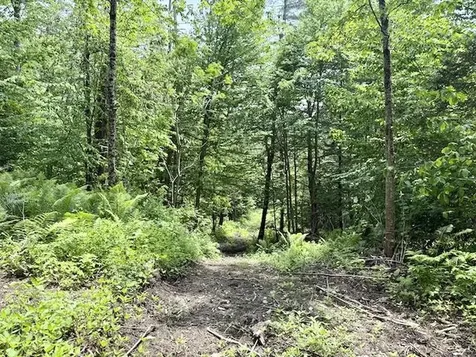 Peavine Boulevard Bethel VT 05032