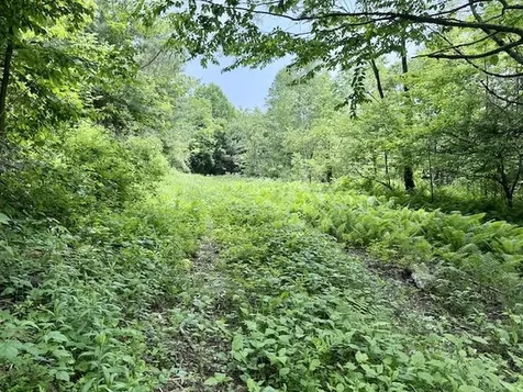 Peavine Boulevard Bethel VT 05032