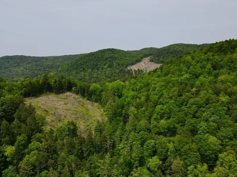 Peavine Boulevard Bethel VT 05032