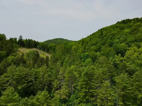 Peavine Boulevard Bethel VT 05032