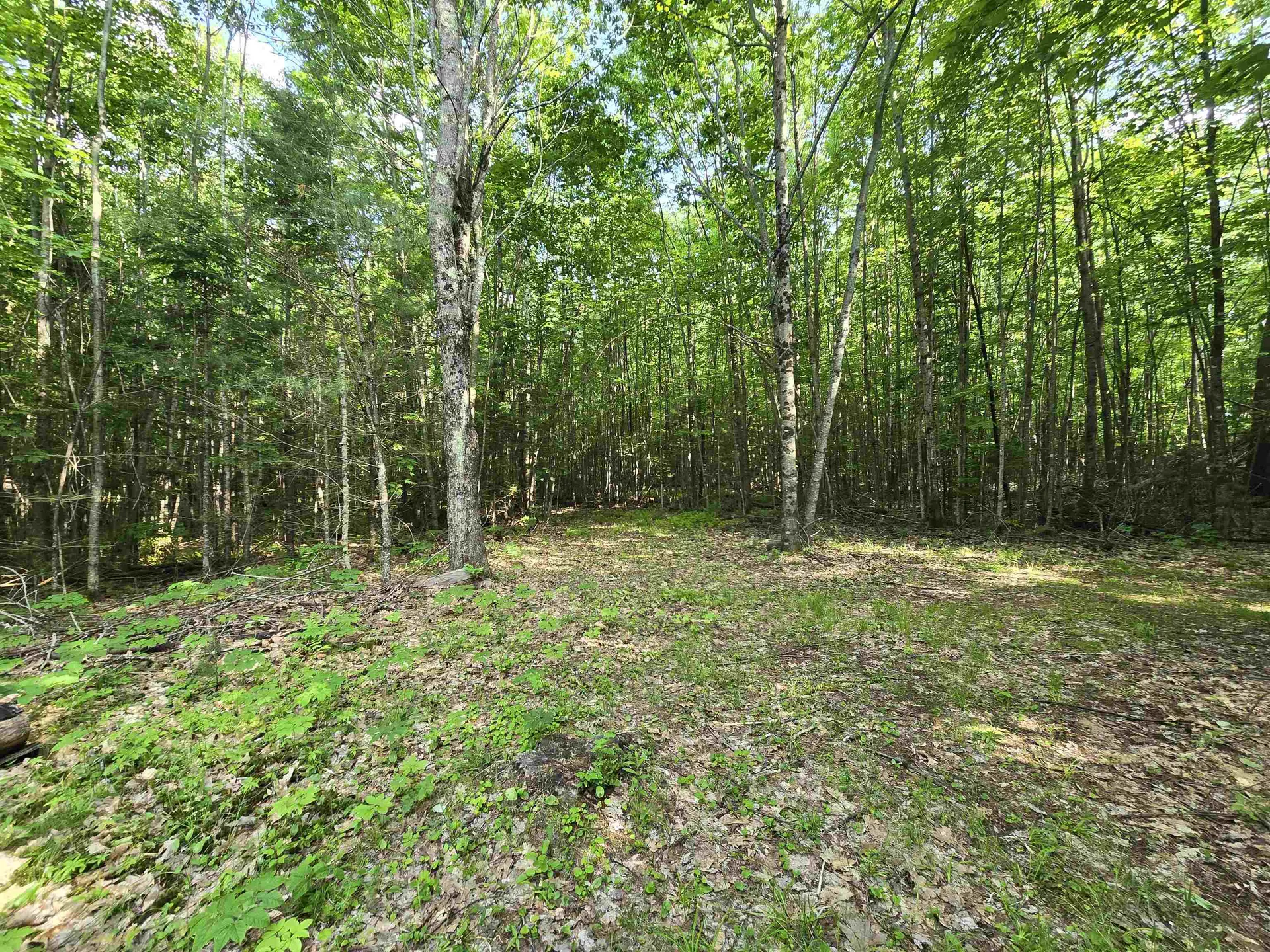 882 Morse Road Haverhill NH 03774