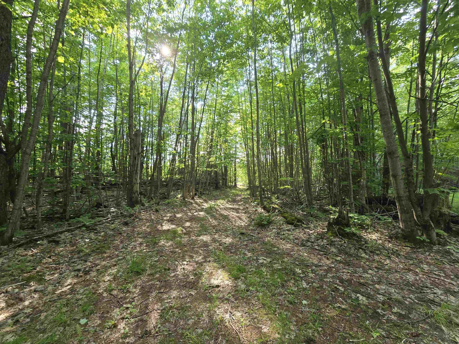 882 Morse Road Haverhill NH 03774