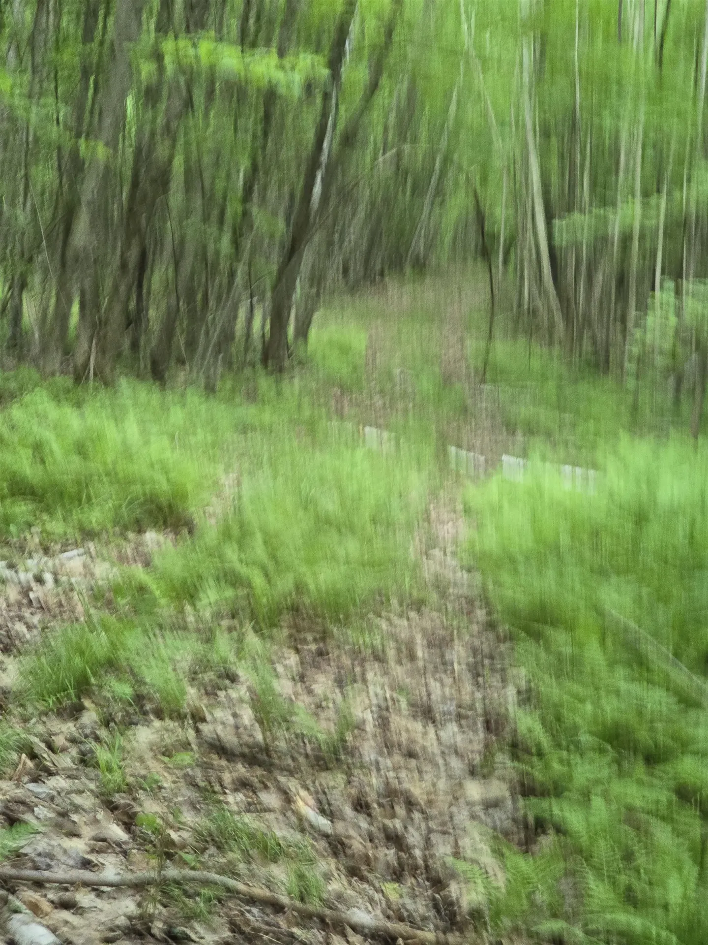 882 Morse Road Haverhill NH 03774