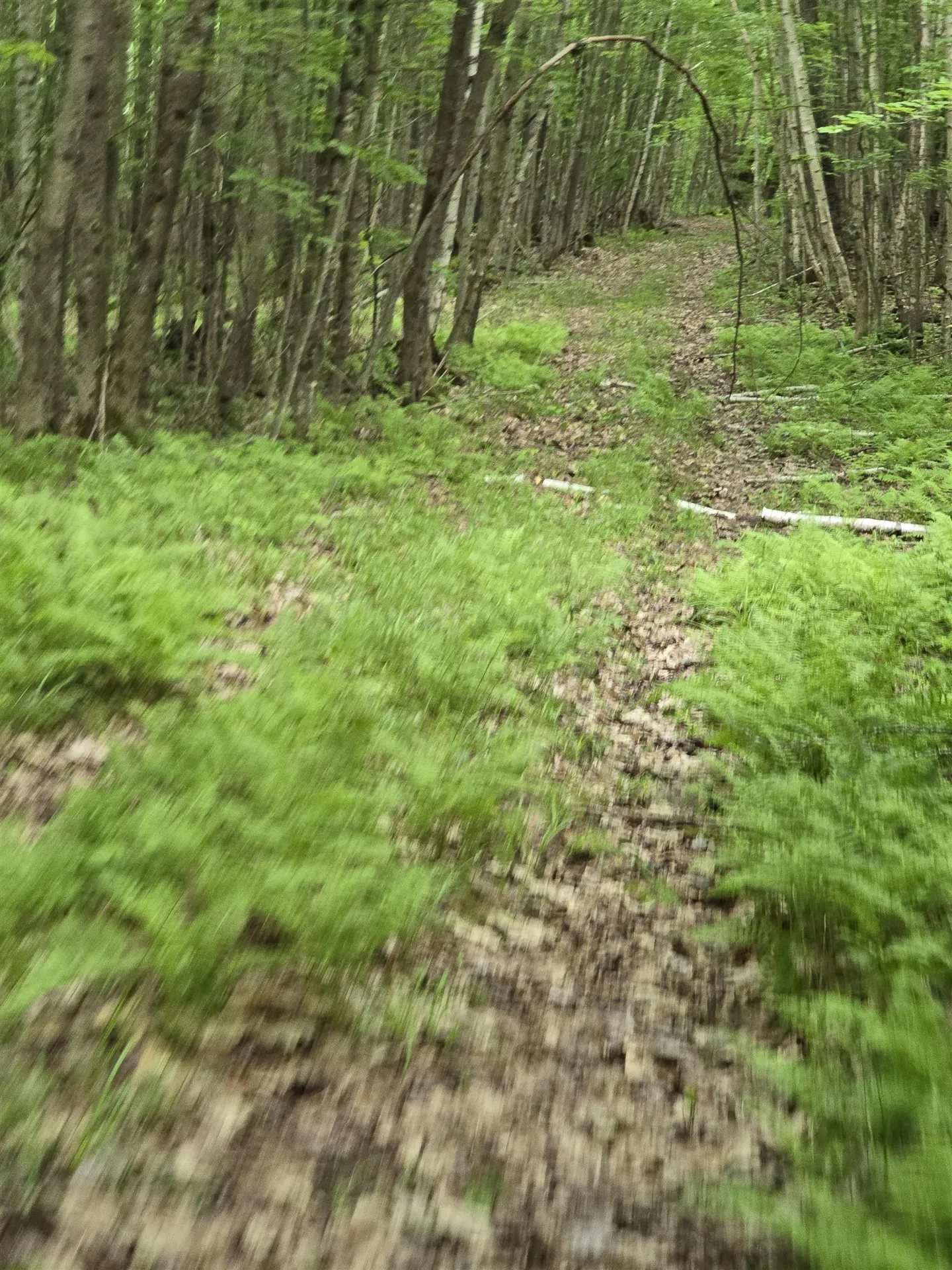 882 Morse Road Haverhill NH 03774