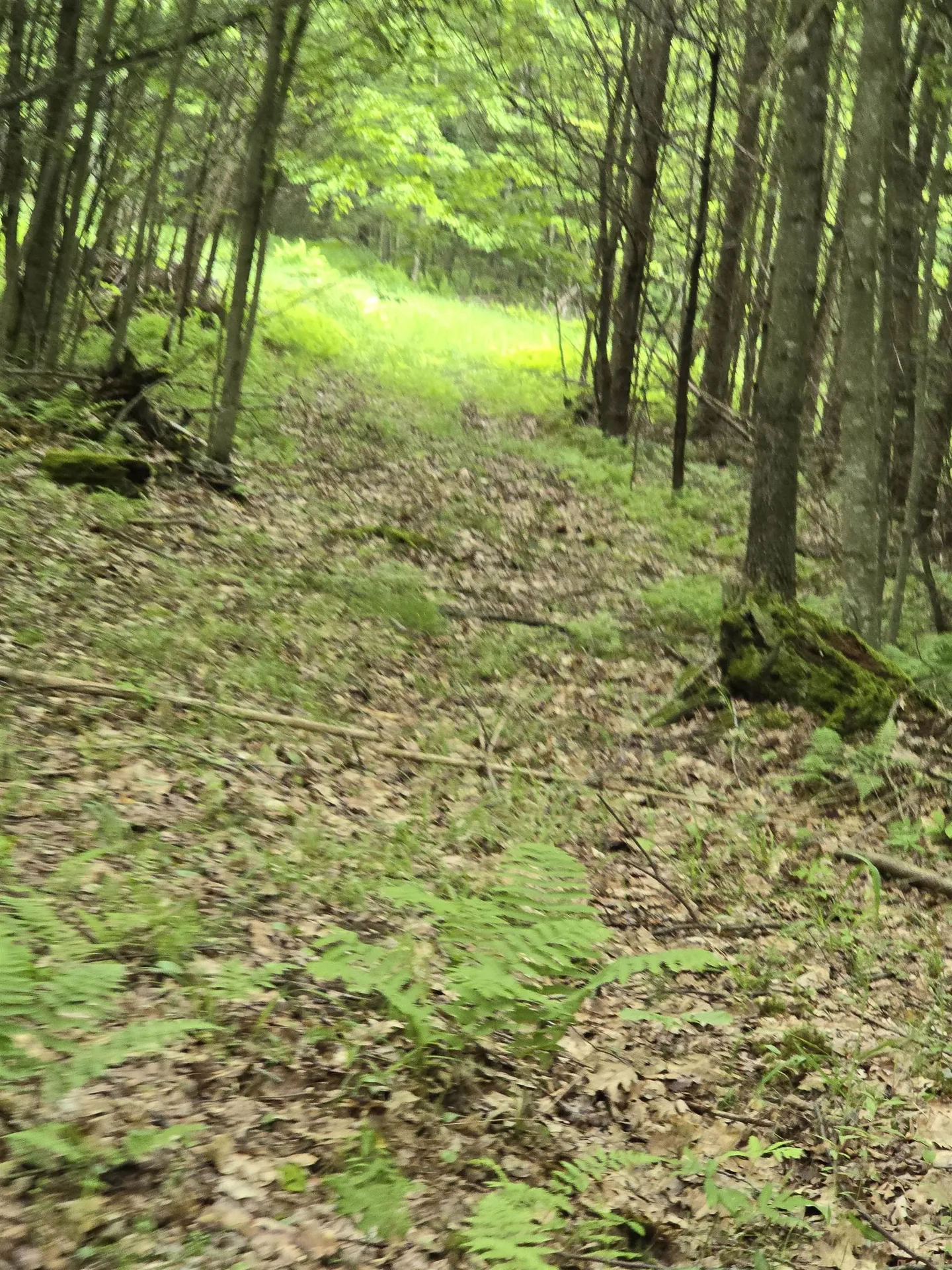 882 Morse Road Haverhill NH 03774