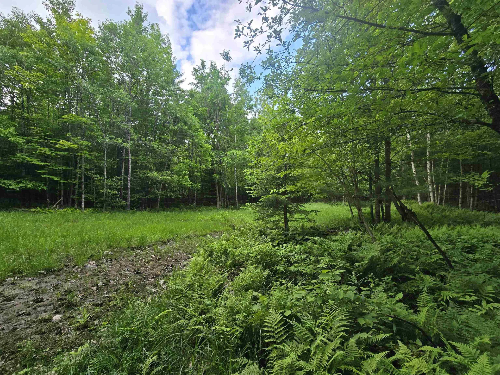 882 Morse Road Haverhill NH 03774