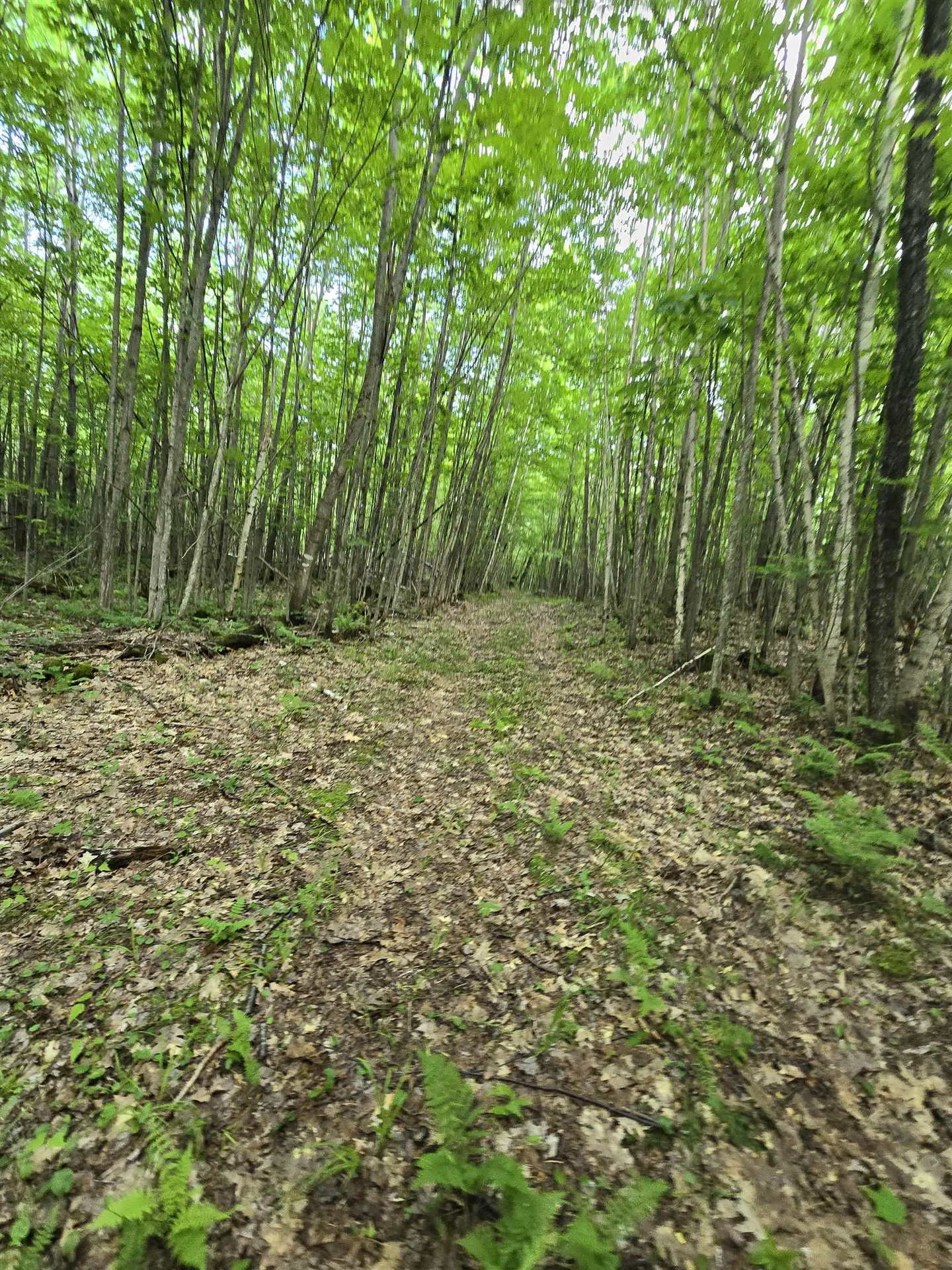 882 Morse Road Haverhill NH 03774