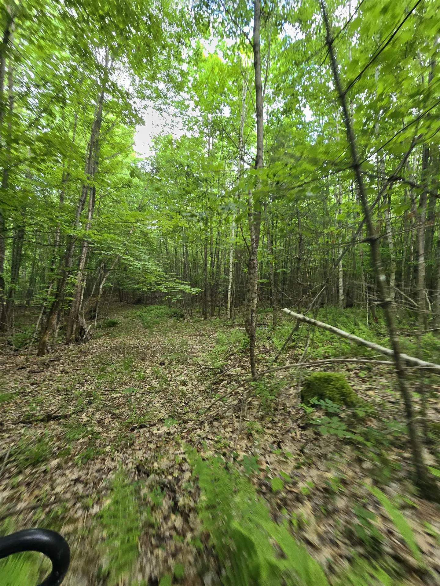 882 Morse Road Haverhill NH 03774