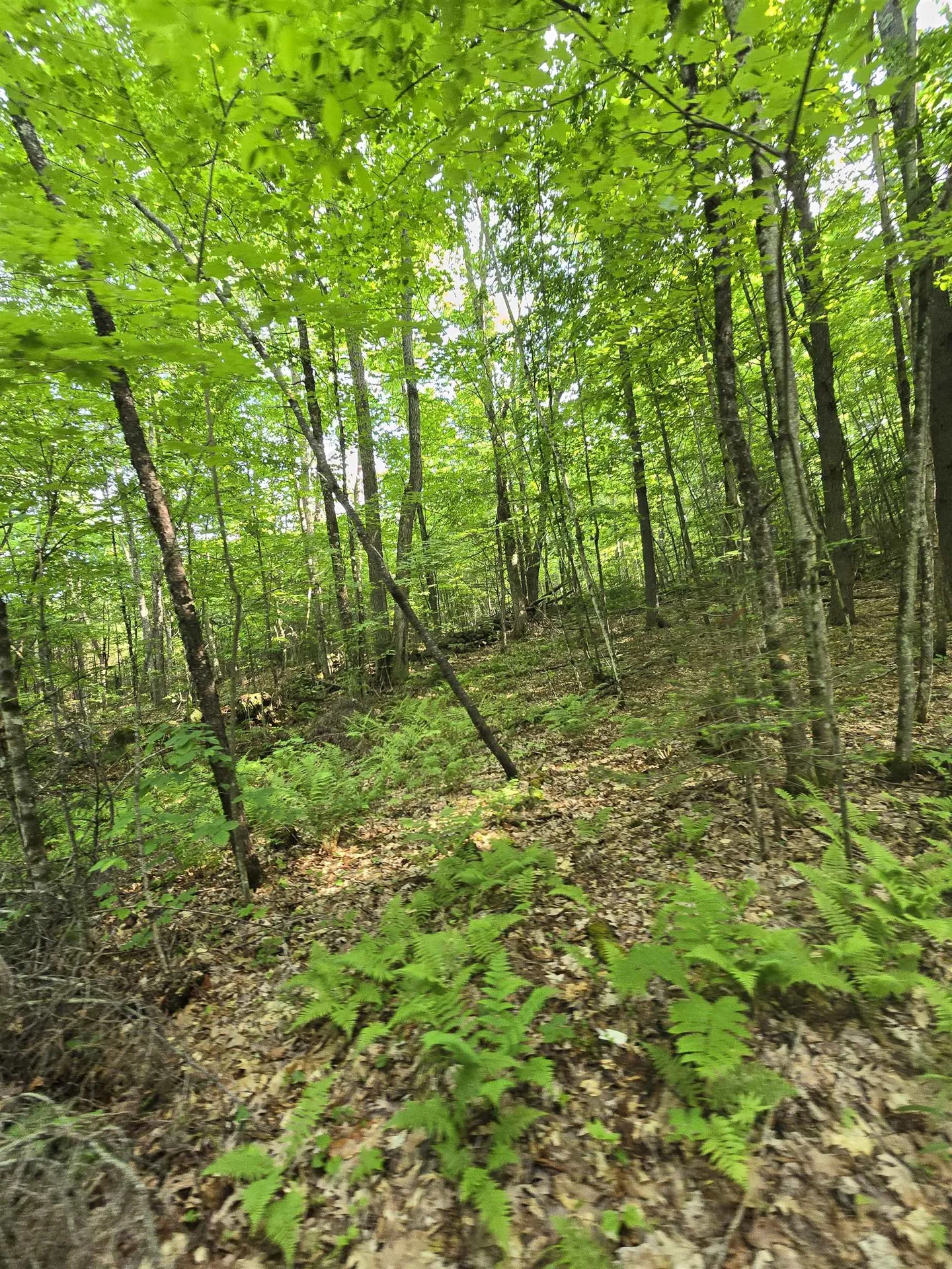 882 Morse Road Haverhill NH 03774