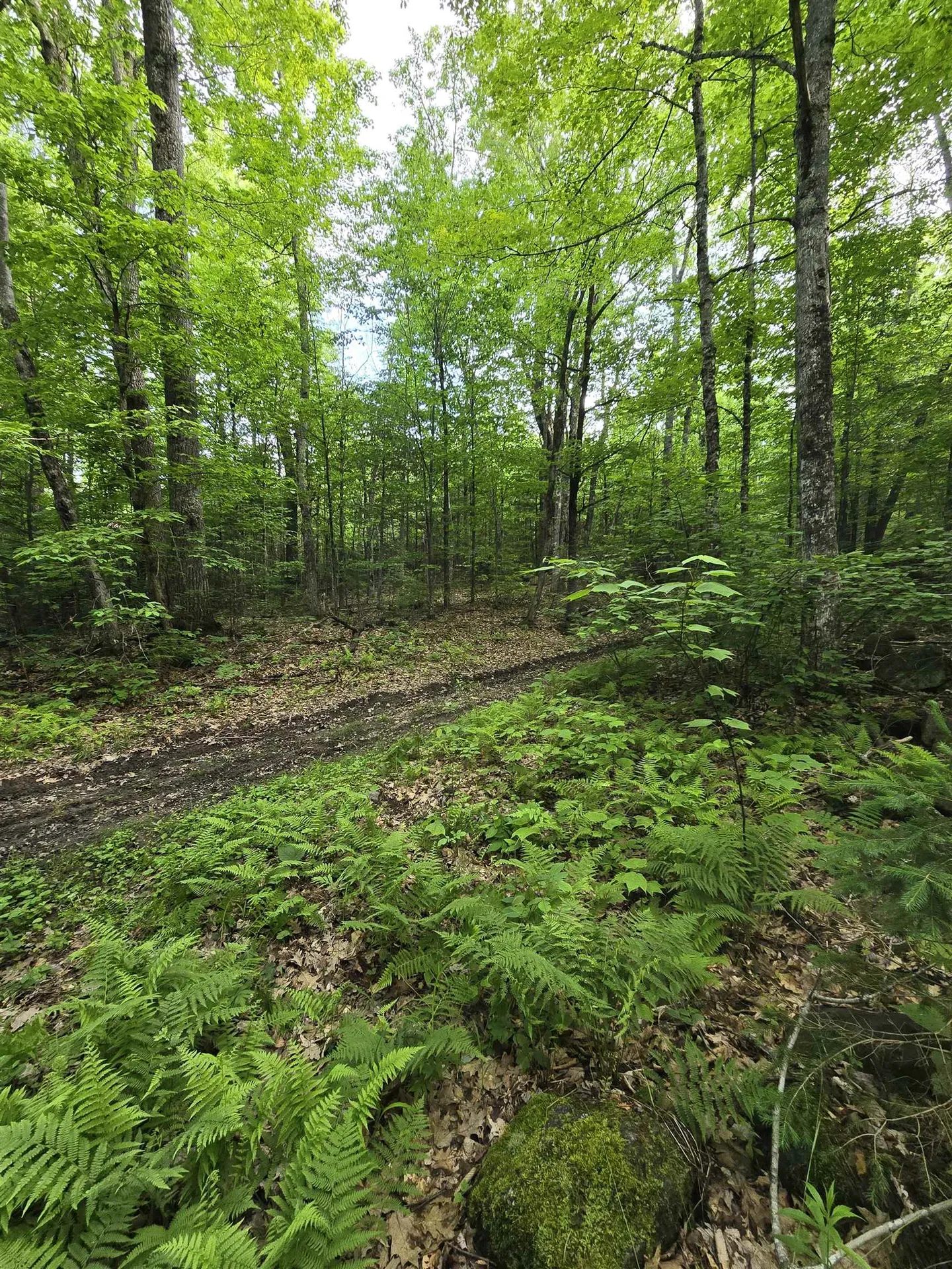 882 Morse Road Haverhill NH 03774