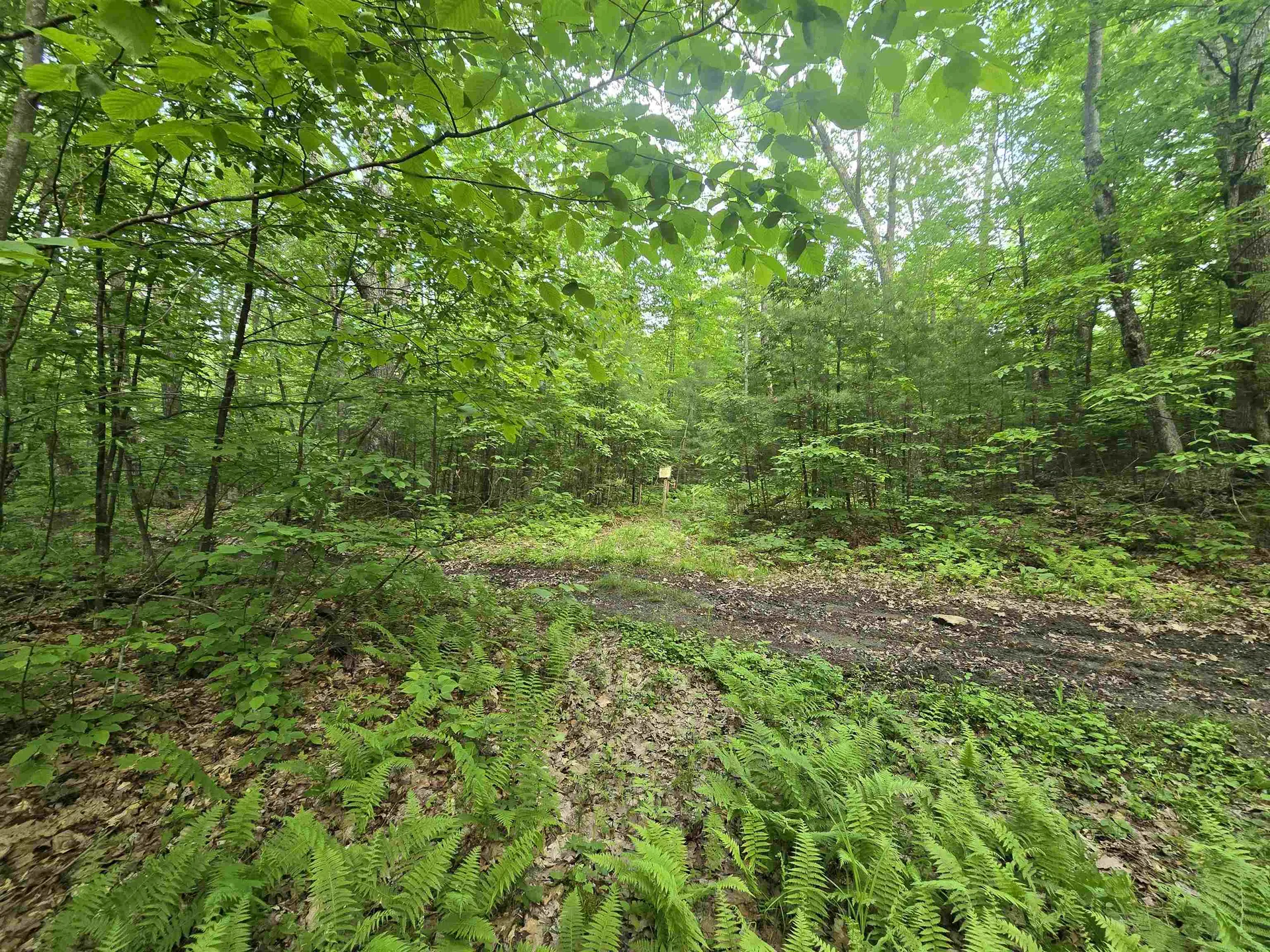 882 Morse Road Haverhill NH 03774