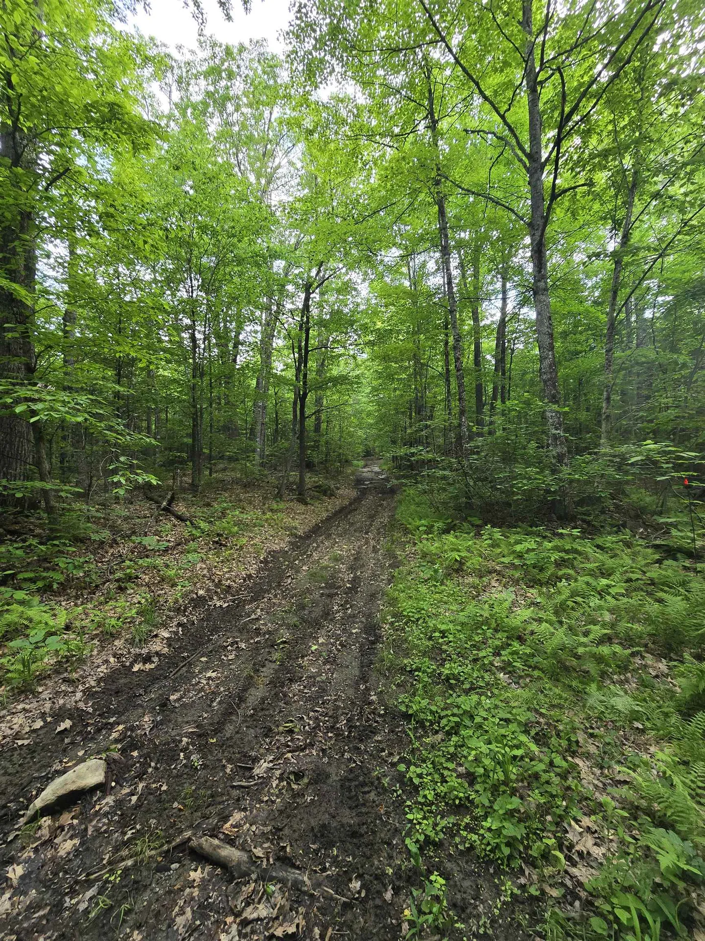 882 Morse Road Haverhill NH 03774