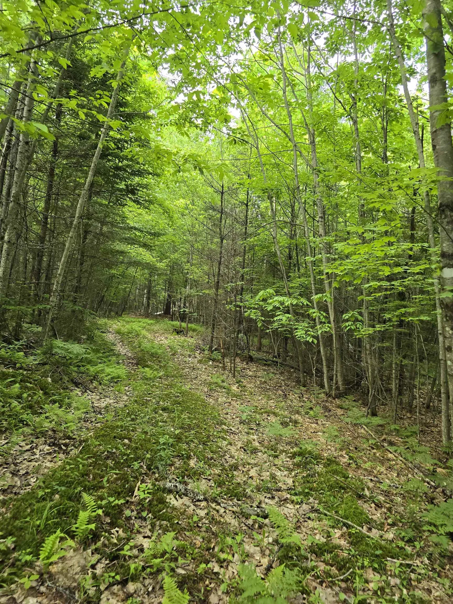 882 Morse Road Haverhill NH 03774