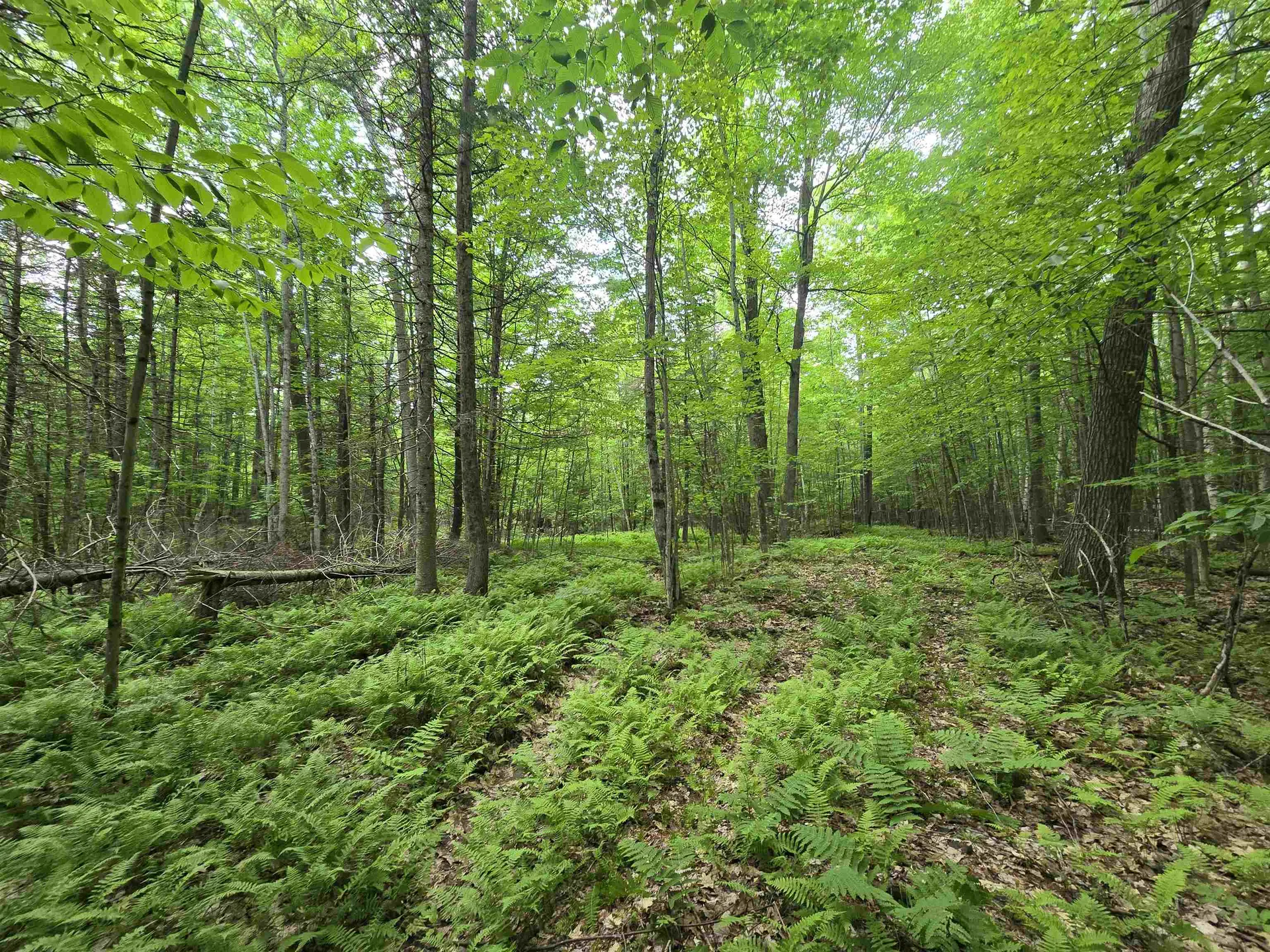 882 Morse Road Haverhill NH 03774