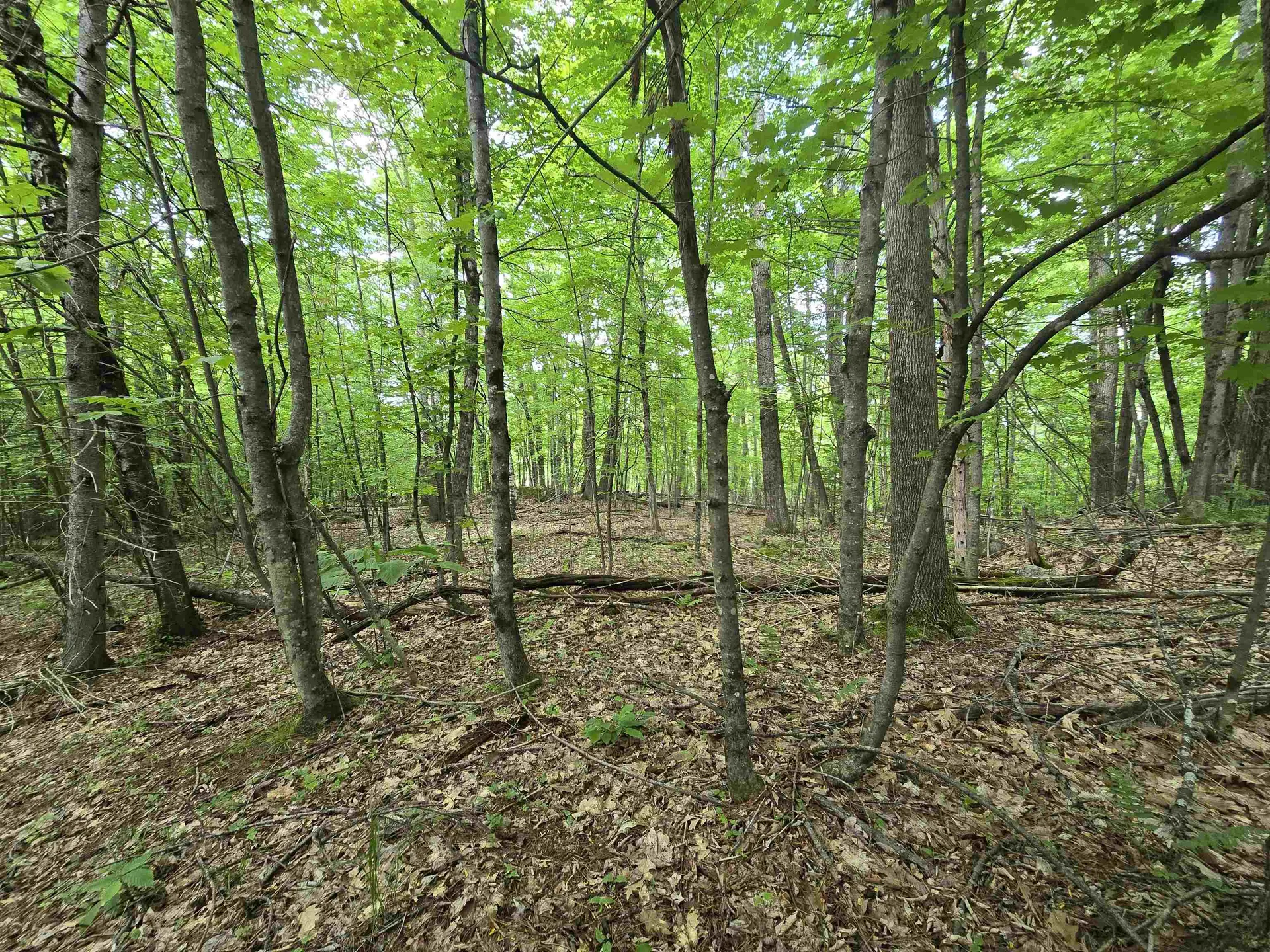 882 Morse Road Haverhill NH 03774