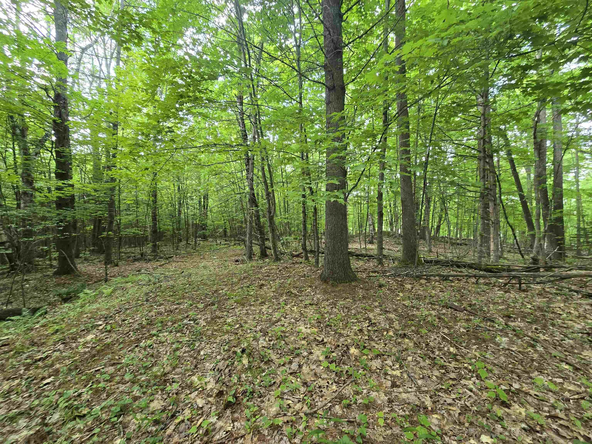 882 Morse Road Haverhill NH 03774