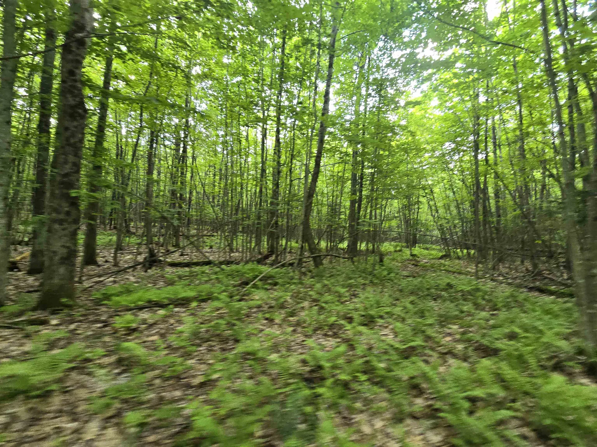 882 Morse Road Haverhill NH 03774