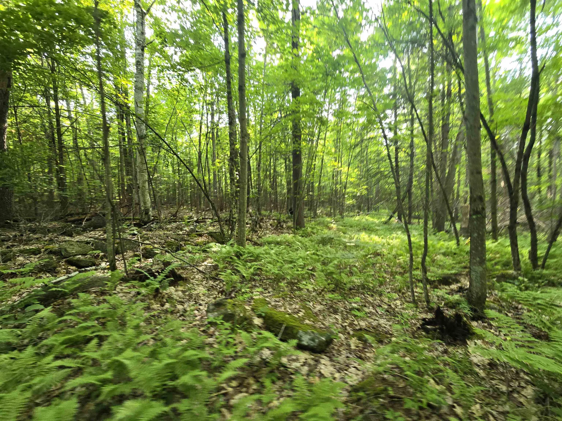 882 Morse Road Haverhill NH 03774