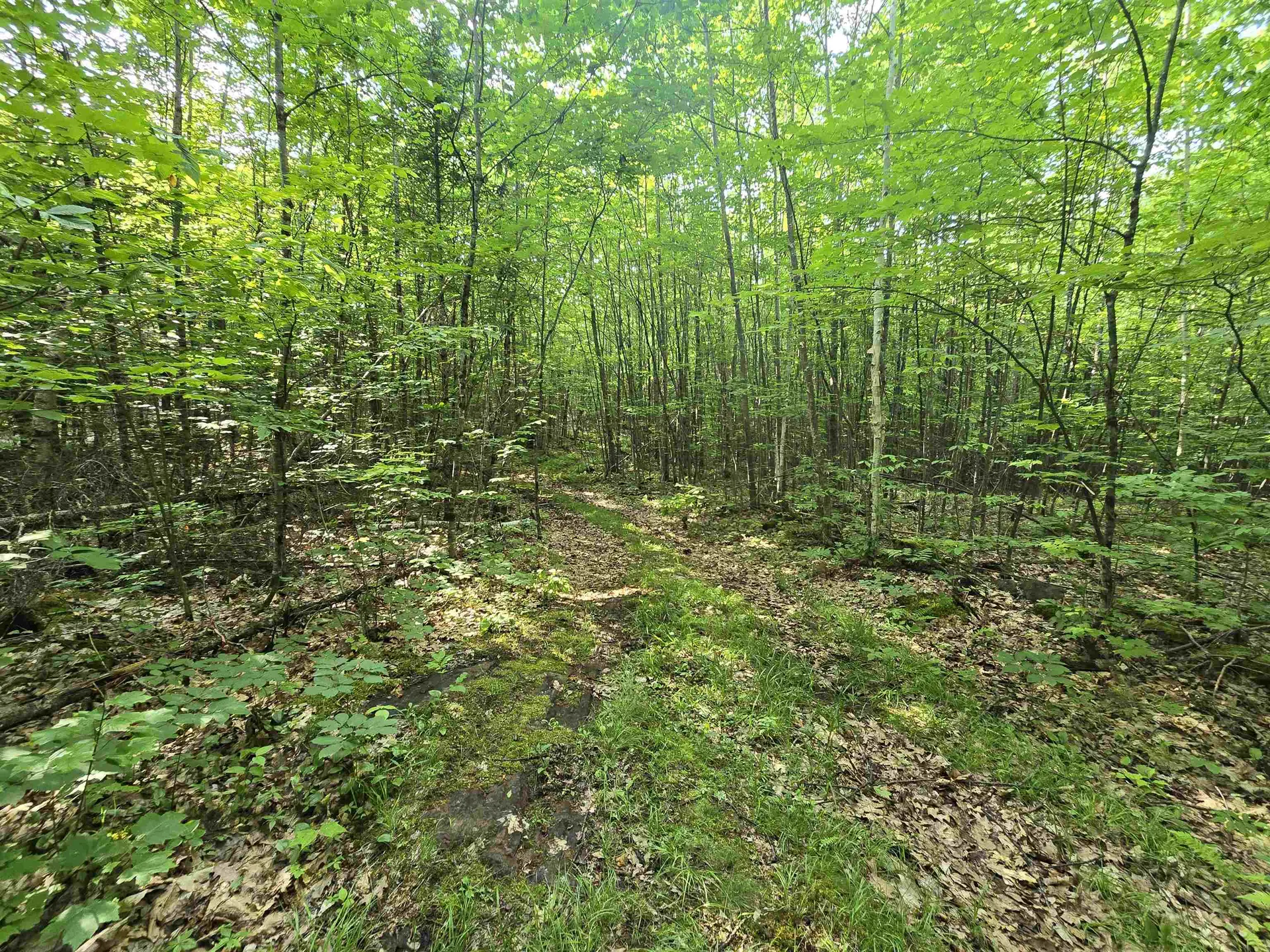 882 Morse Road Haverhill NH 03774