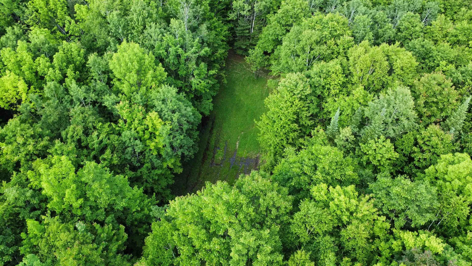 882 Morse Road Haverhill NH 03774