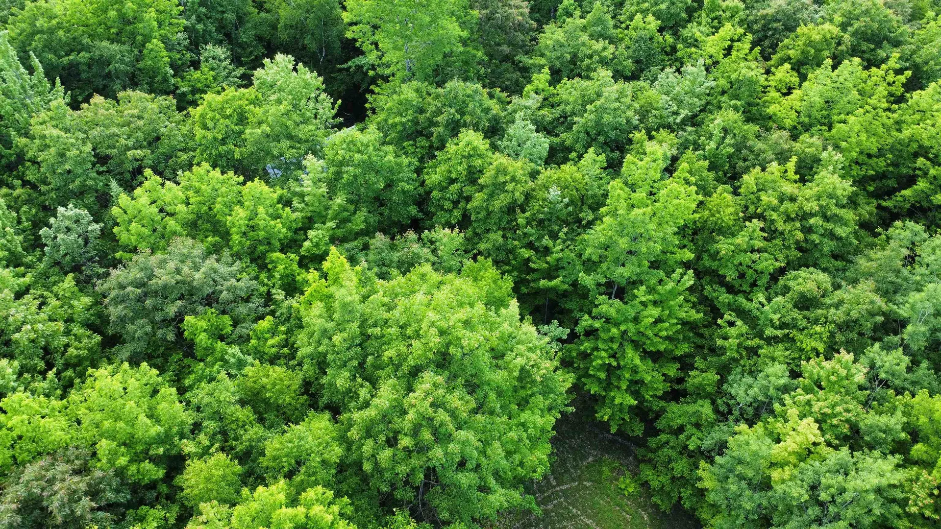 882 Morse Road Haverhill NH 03774