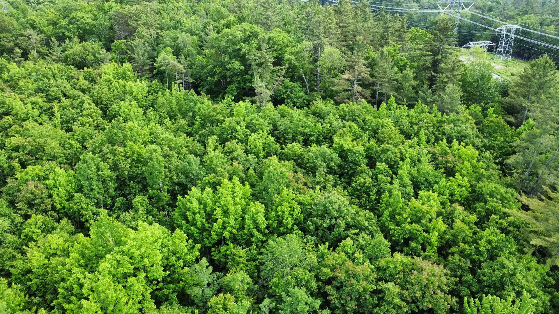 882 Morse Road Haverhill NH 03774