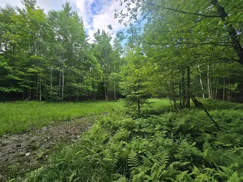 882 Morse Road Haverhill NH 03774