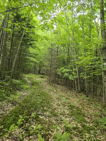 882 Morse Road Haverhill NH 03774