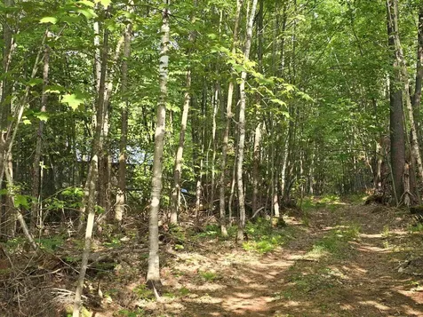 882 Morse Road Haverhill NH 03774