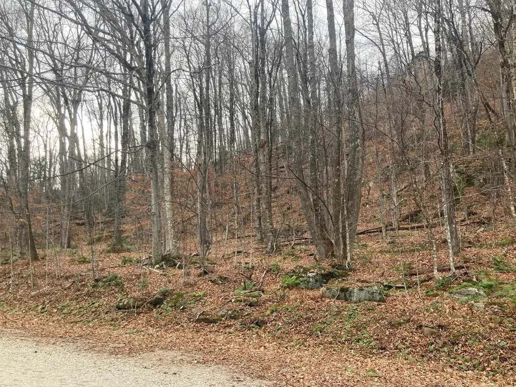 0 Ledge End Road Killington VT 05751