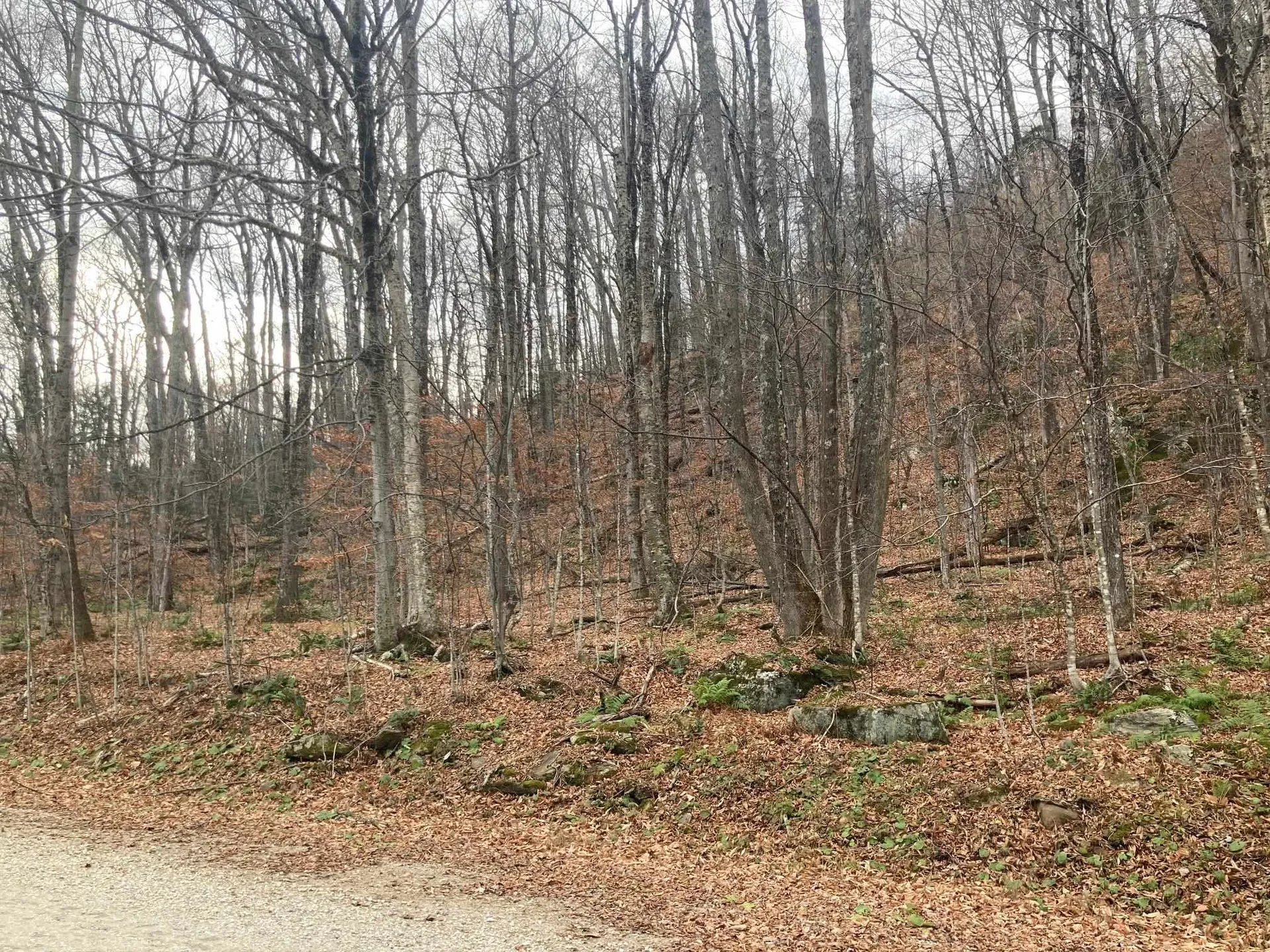 0 Ledge End Road Killington VT 05751