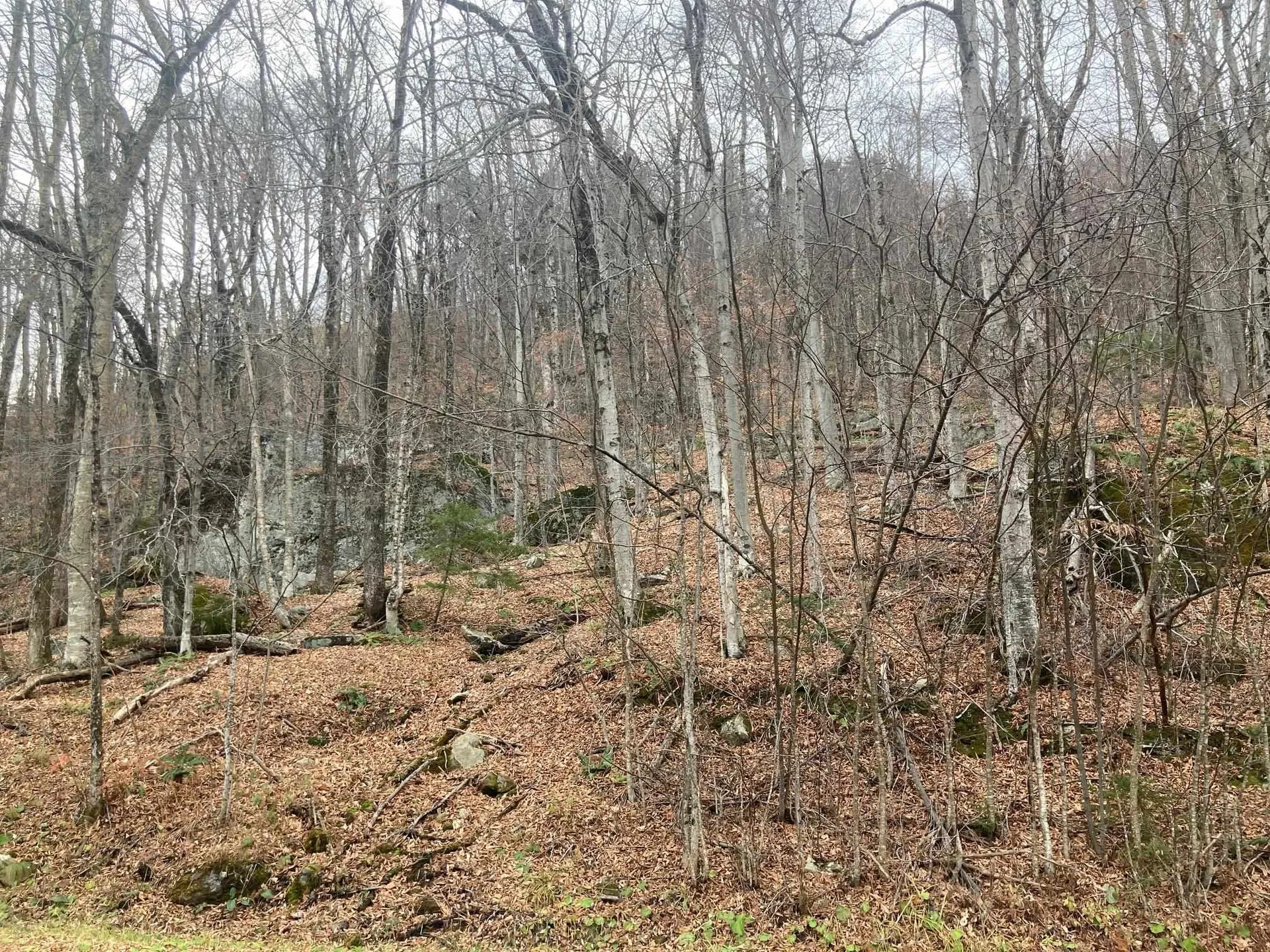 0 Ledge End Road Killington VT 05751