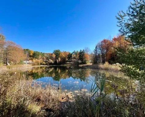 19 Fir Tree Lane Tuftonboro NH 03816
