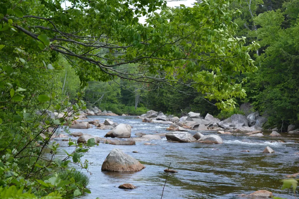 100 Route 302 Carroll NH 03595