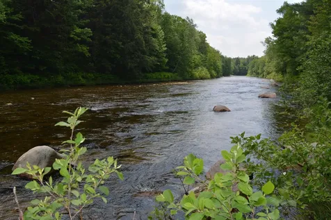 100 Route 302 Carroll NH 03595