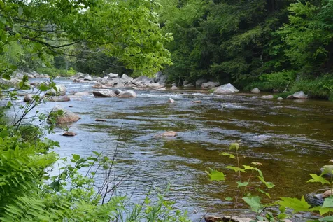 100 Route 302 Carroll NH 03595