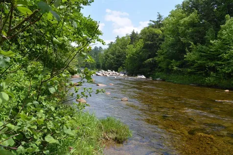 100 Route 302 Carroll NH 03595