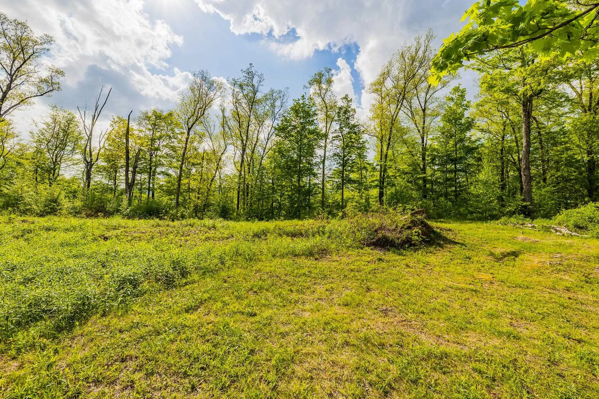 417 Maple Hill Road Arlington VT 05250