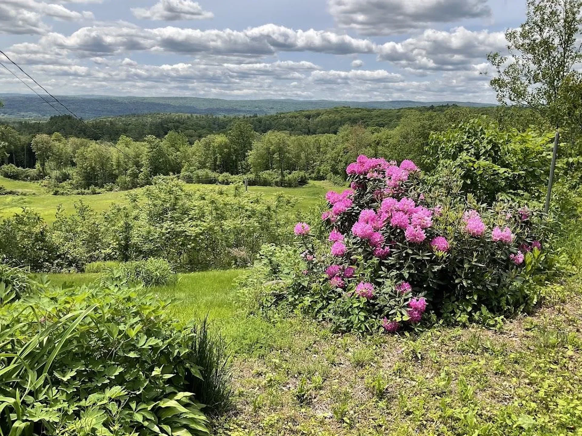 107 Kingsbury Road Walpole NH 03608