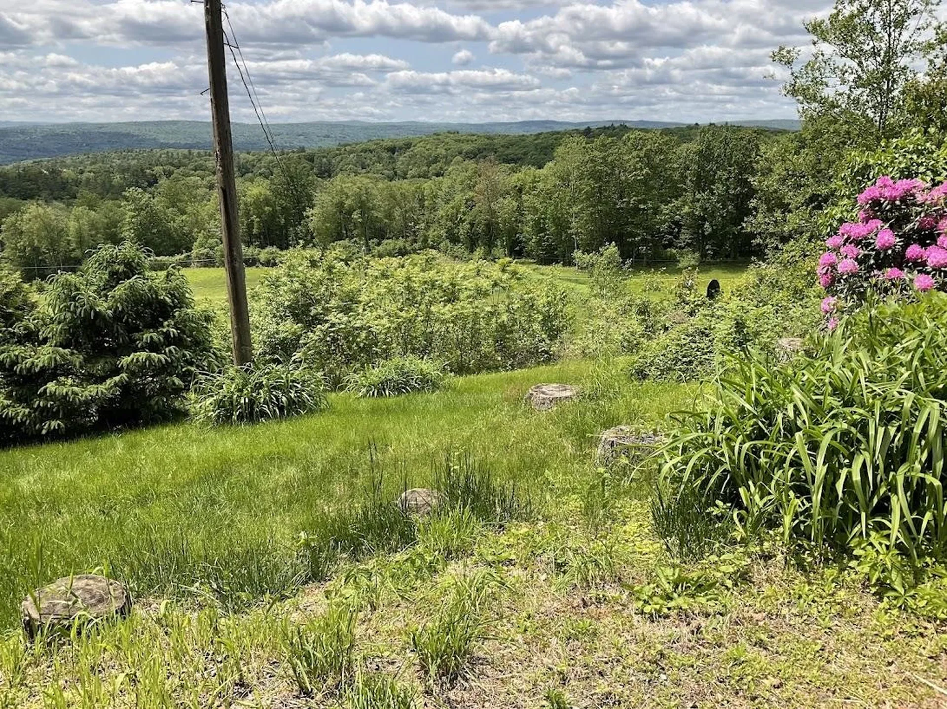 107 Kingsbury Road Walpole NH 03608