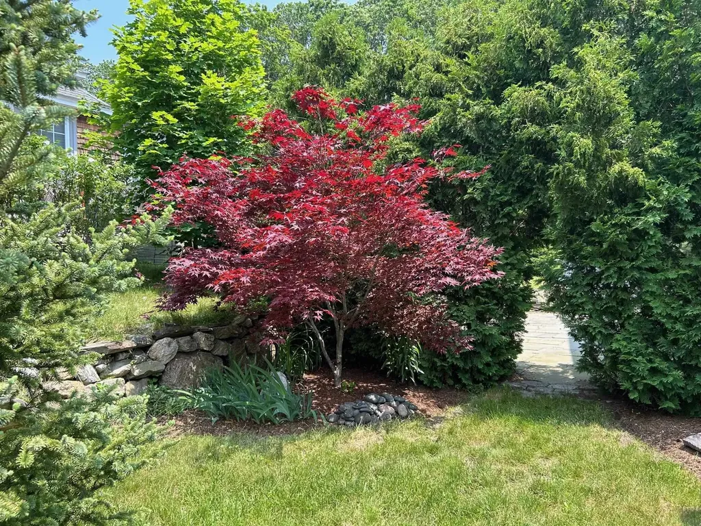 9 Woodlawn Avenue Bedford NH 03110