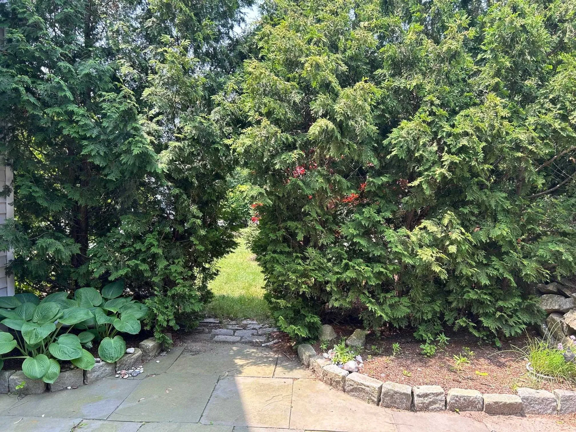 9 Woodlawn Avenue Bedford NH 03110